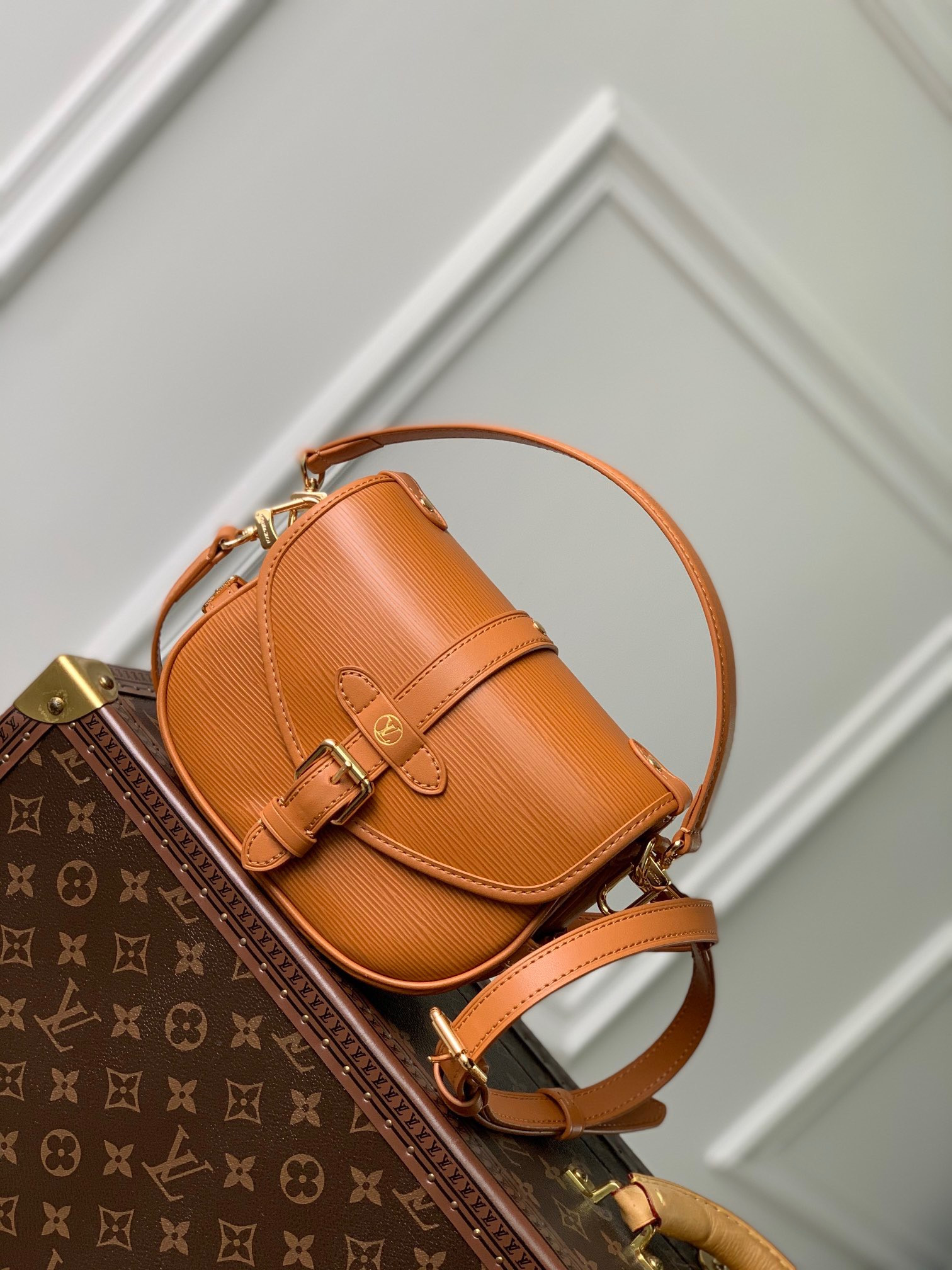 LV Saumur BB M23471