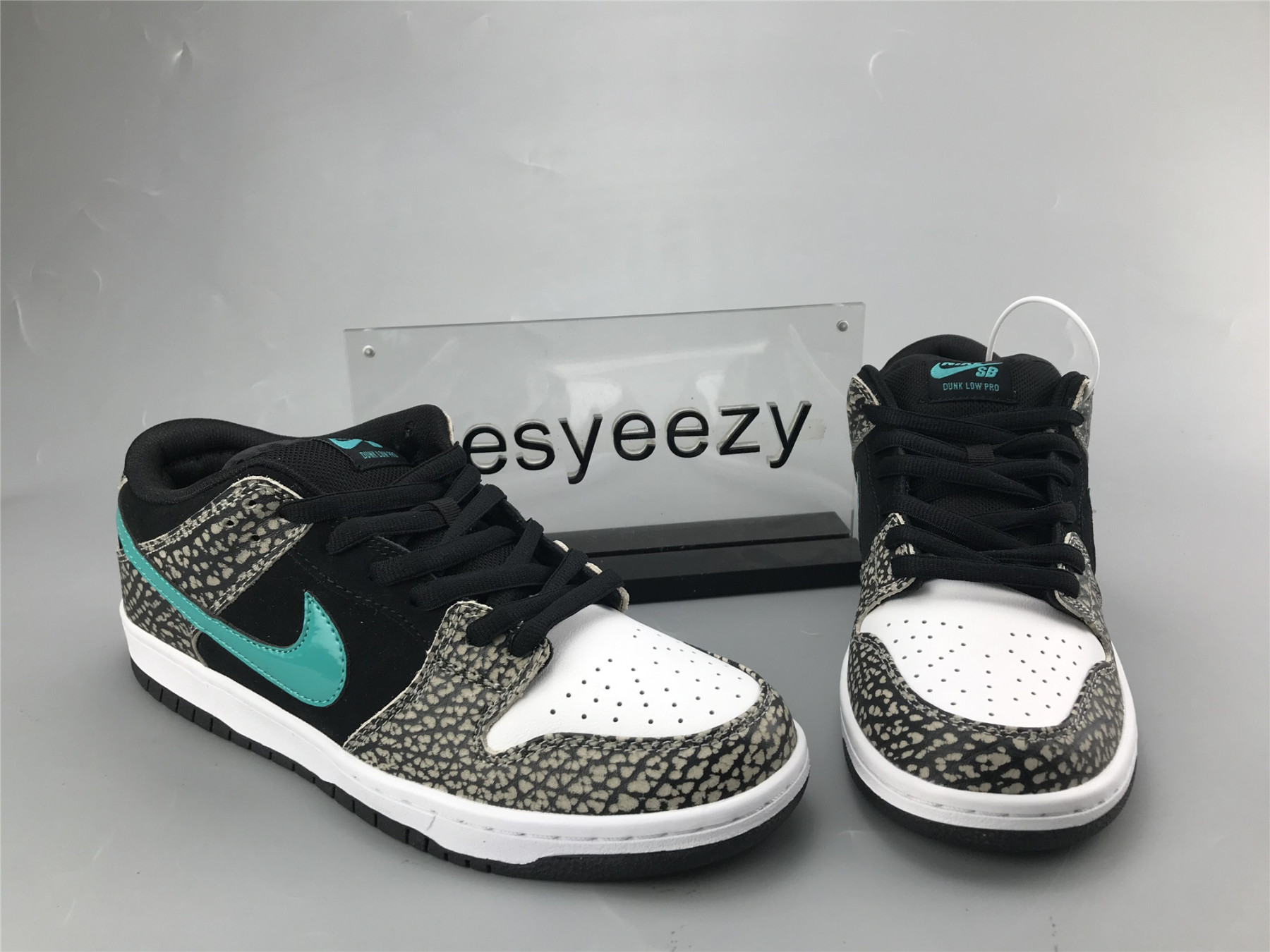 UA NIKE DUNK LOW PRO SB
