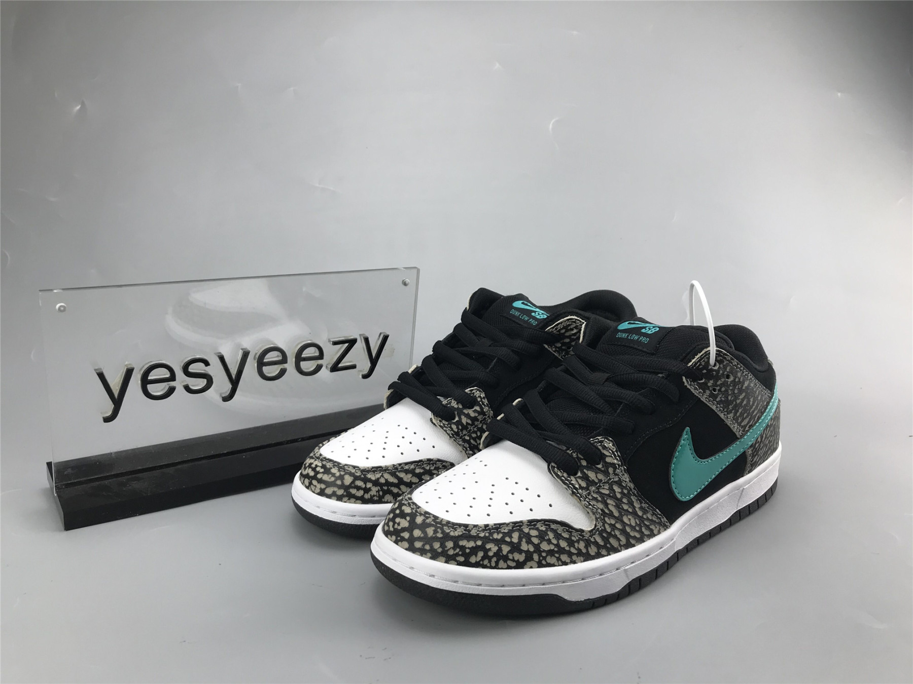 UA NIKE DUNK LOW PRO SB