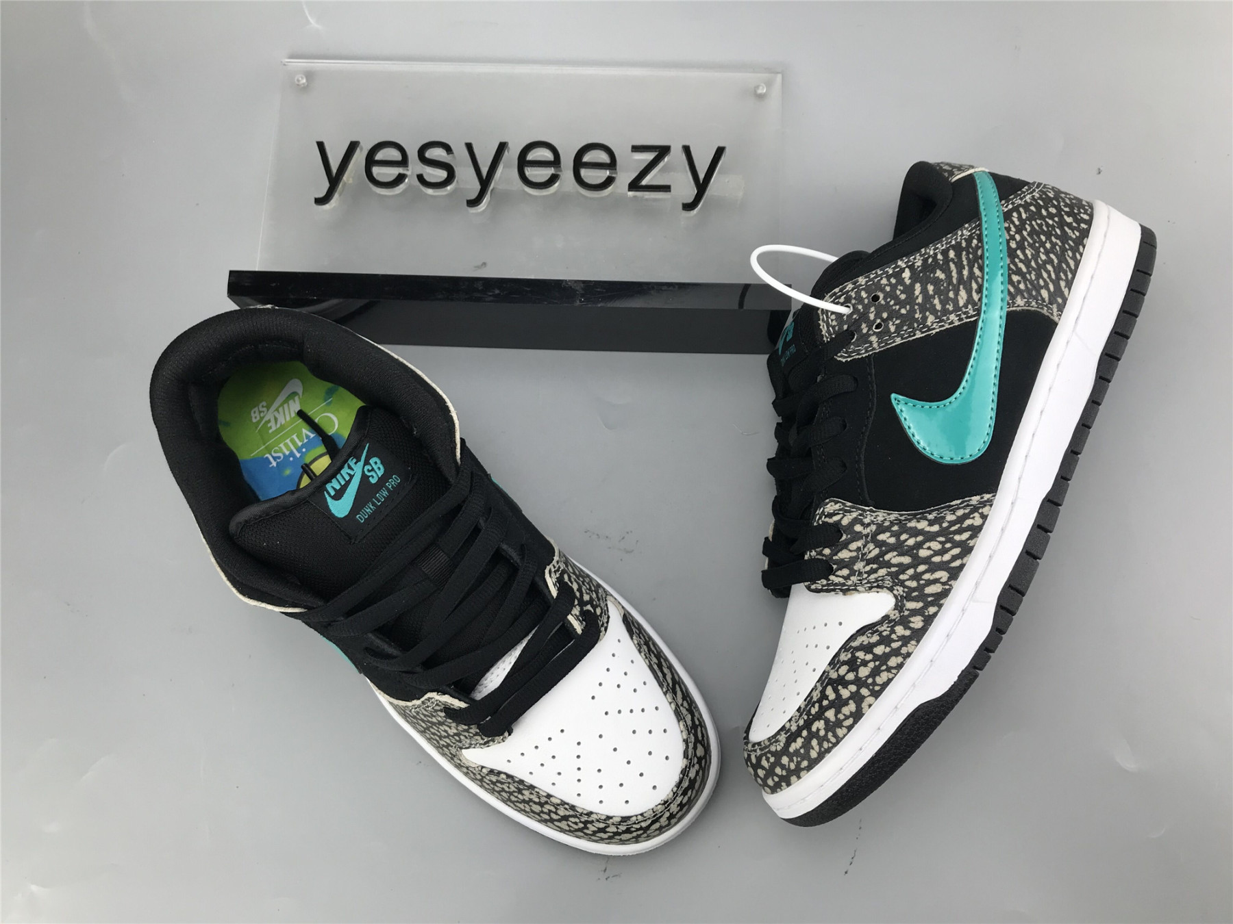 UA NIKE DUNK LOW PRO SB