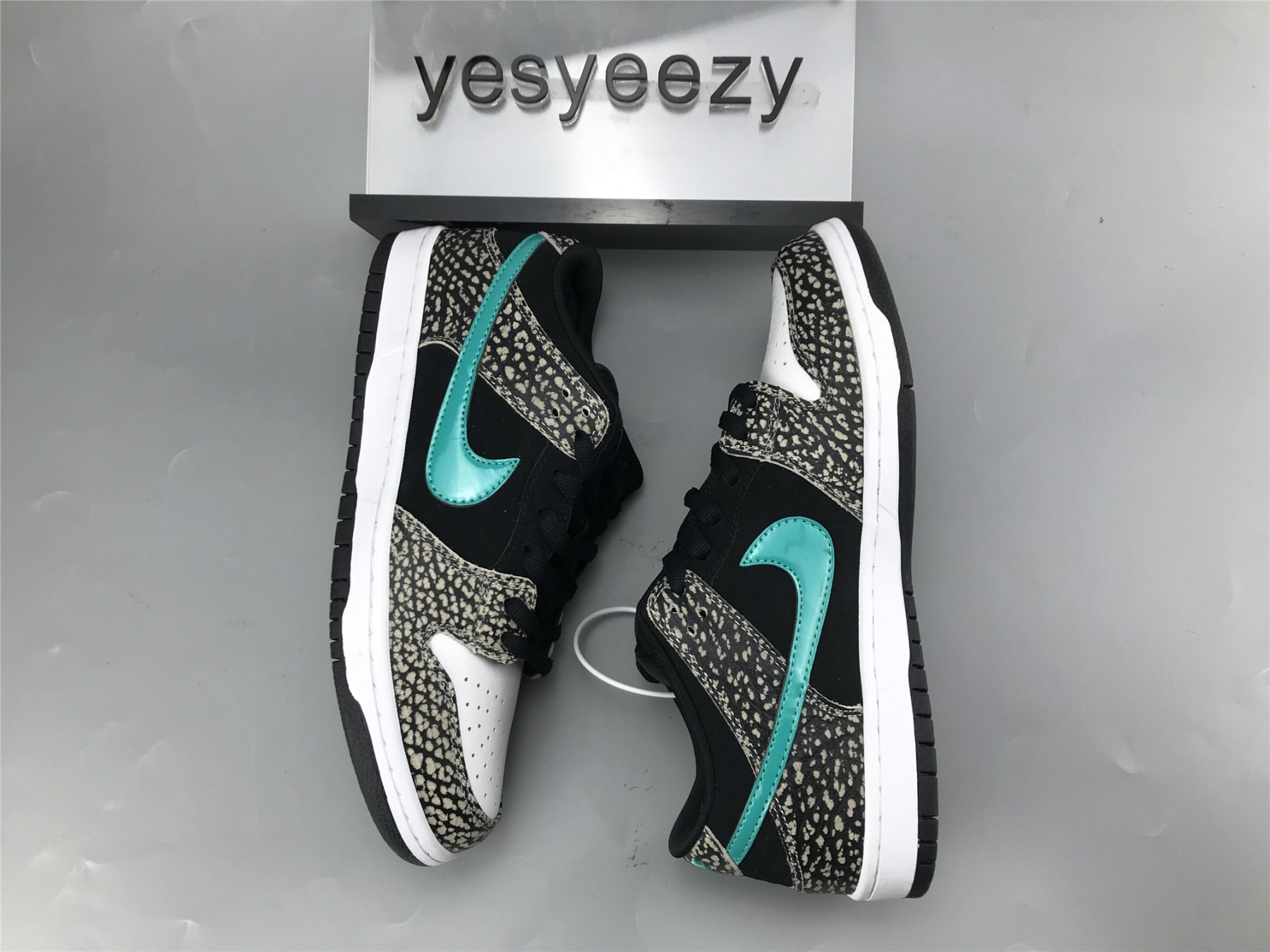 UA NIKE DUNK LOW PRO SB