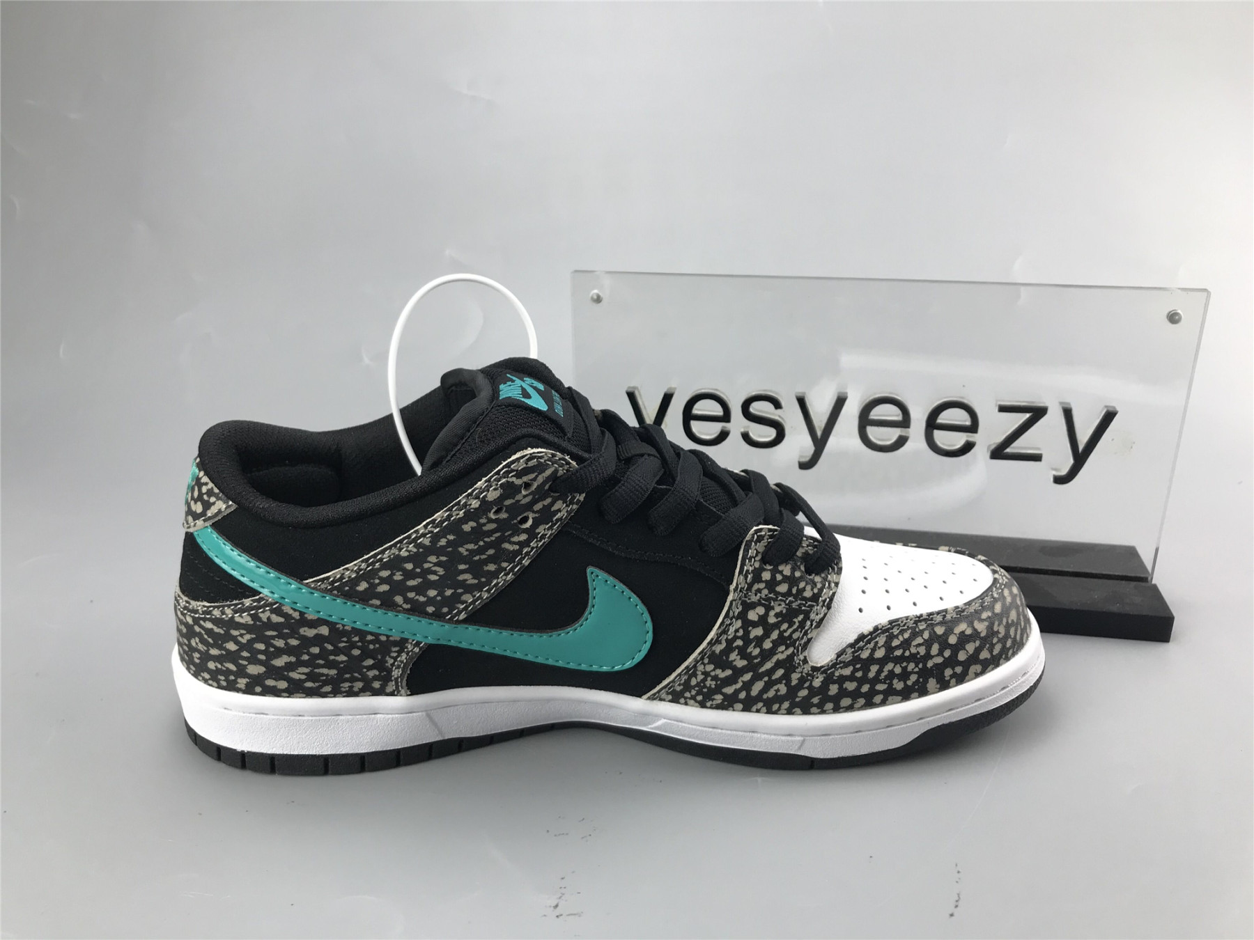 UA NIKE DUNK LOW PRO SB