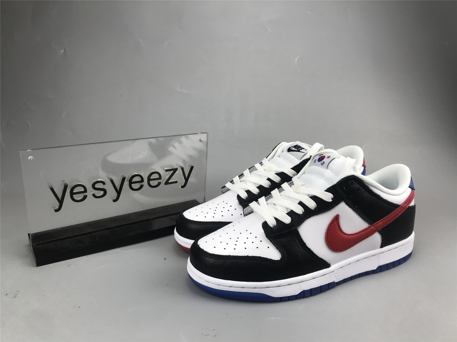 UA NIKE DUNK LOW 