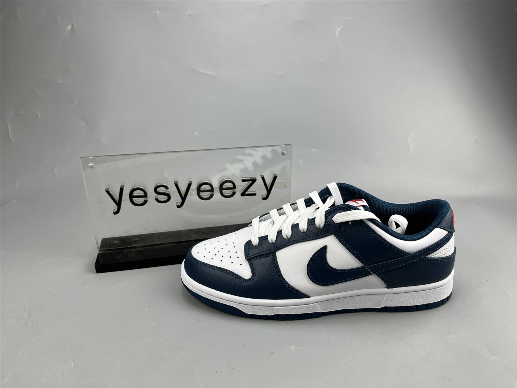UA NIKE DUNK LOW 