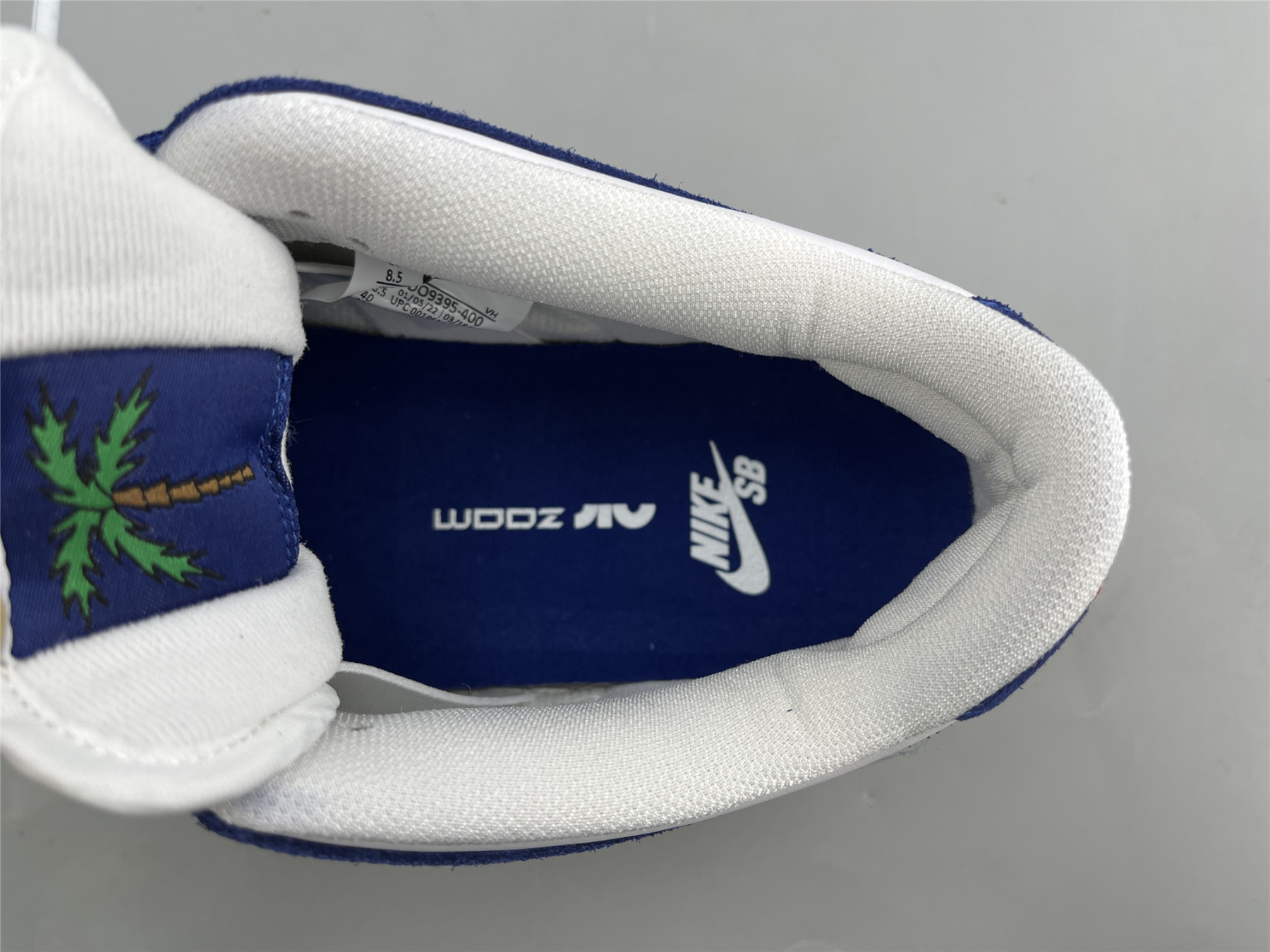 UA NIKE DUNK LOW SB