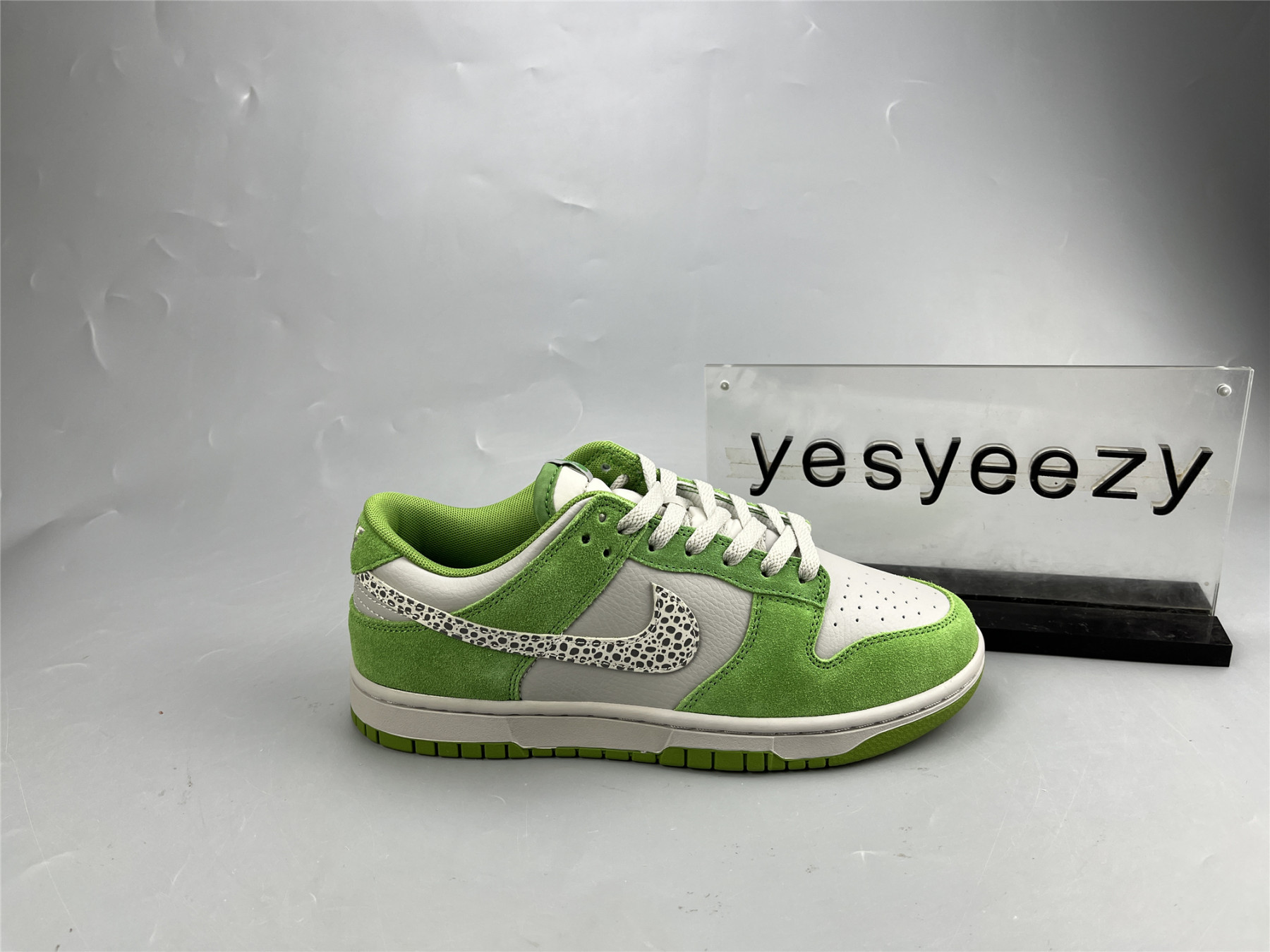 ua nike dunk low