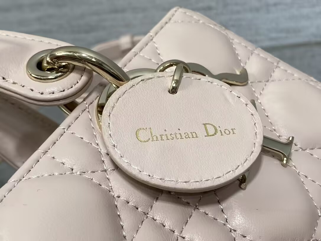 Dior Small Lady D-Joy Bag 22x6x12cm