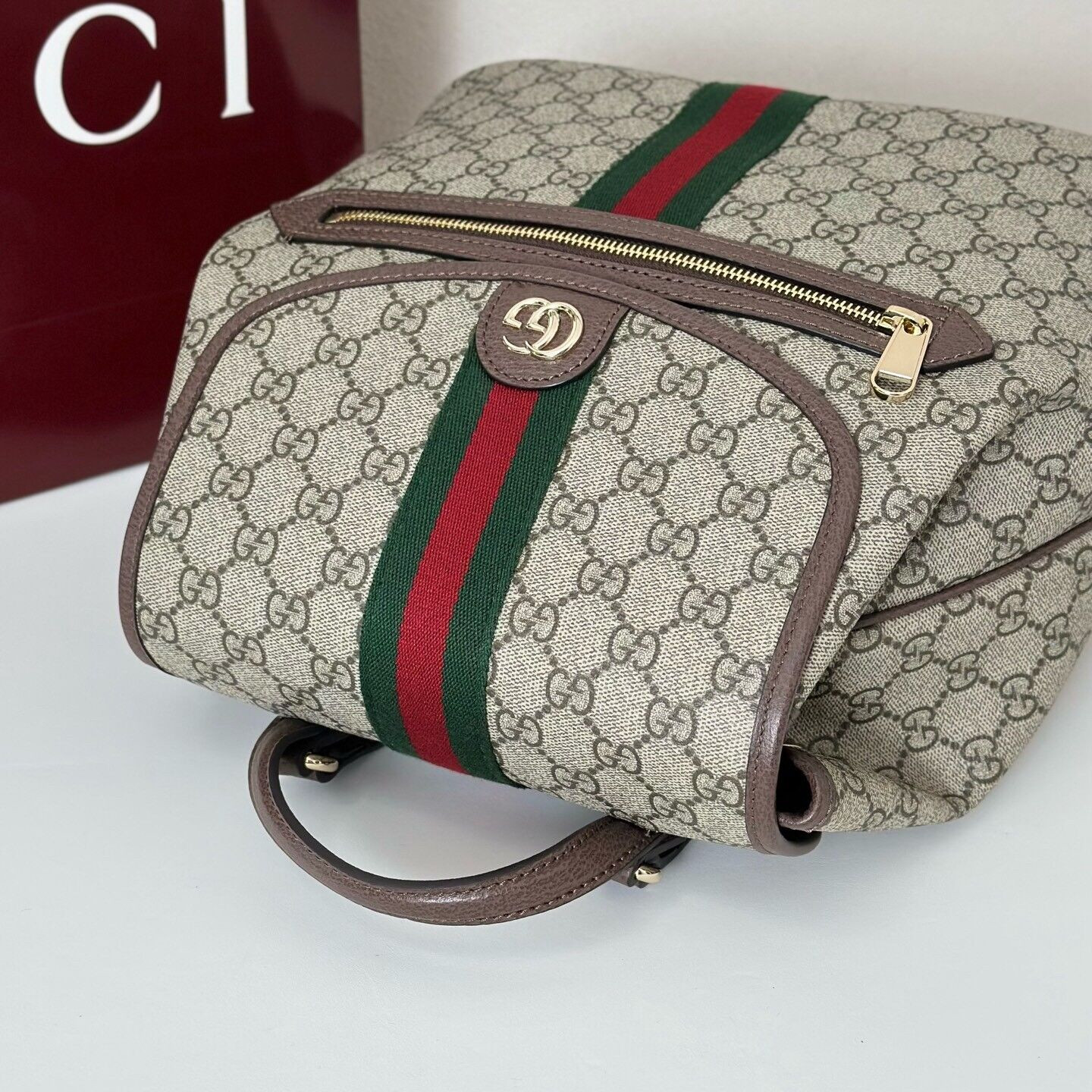 Gvc*1 Ophidia Medium Backpack 28x30x18cm