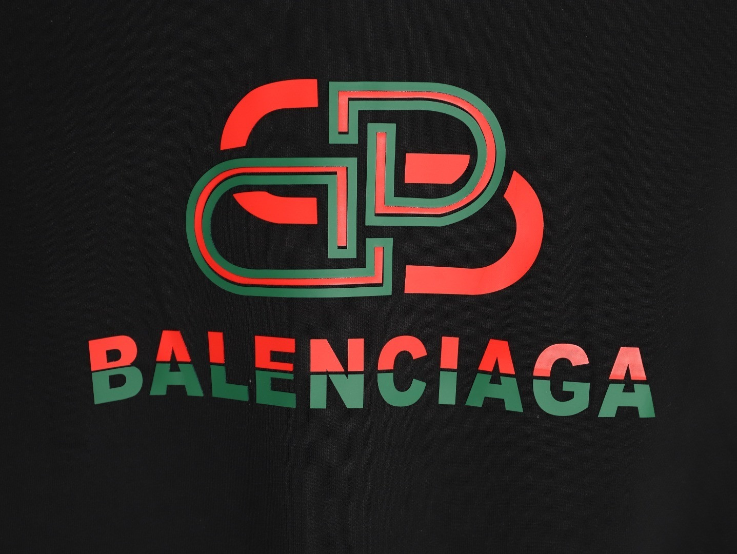 Ba1en*iaga 25FW Hoodies