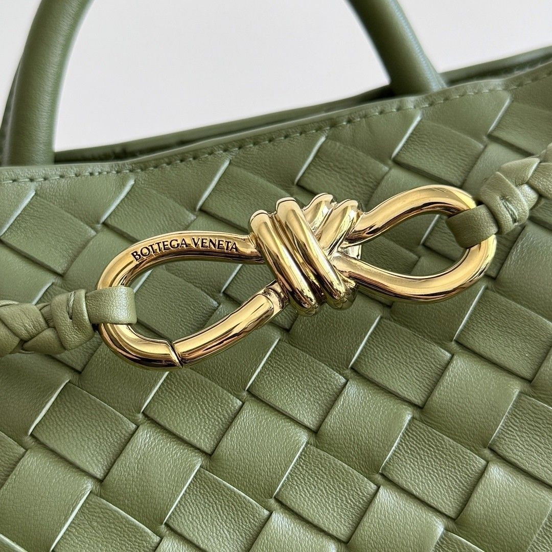 Bottega Veneta Small Andiamo 25x22x10.5cm