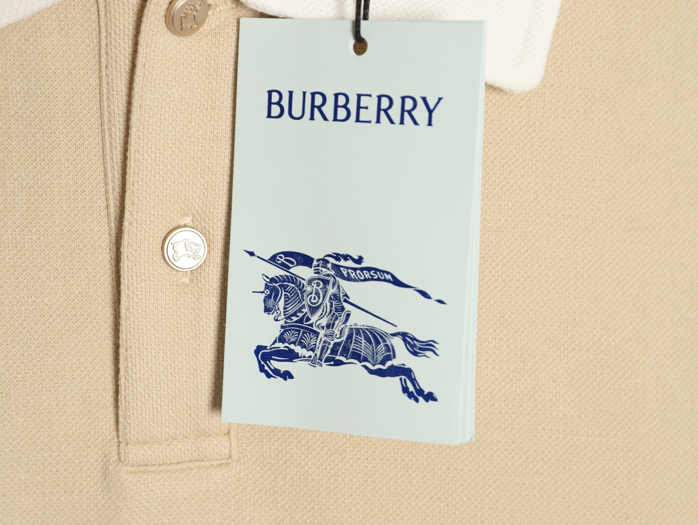Bv*b*rry Long-sleeved Polo Shirt