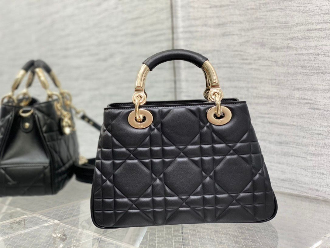 D10r Lady Handbag 24x18x10cm