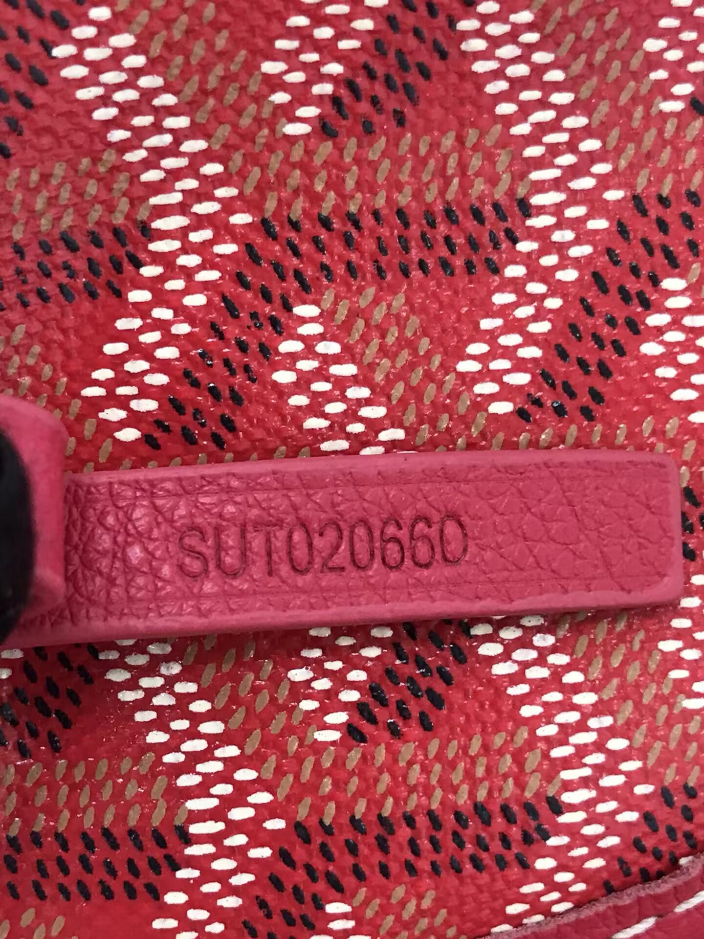 Goyard Anjou Mini Bag 20x10x20cm