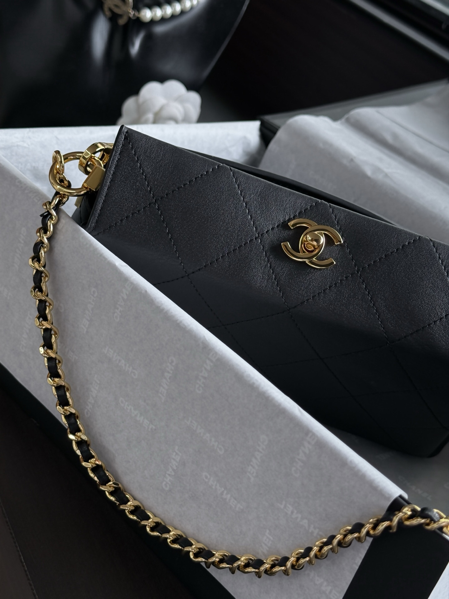 Chanel Hobo Bag AS6255 16x23x8cm