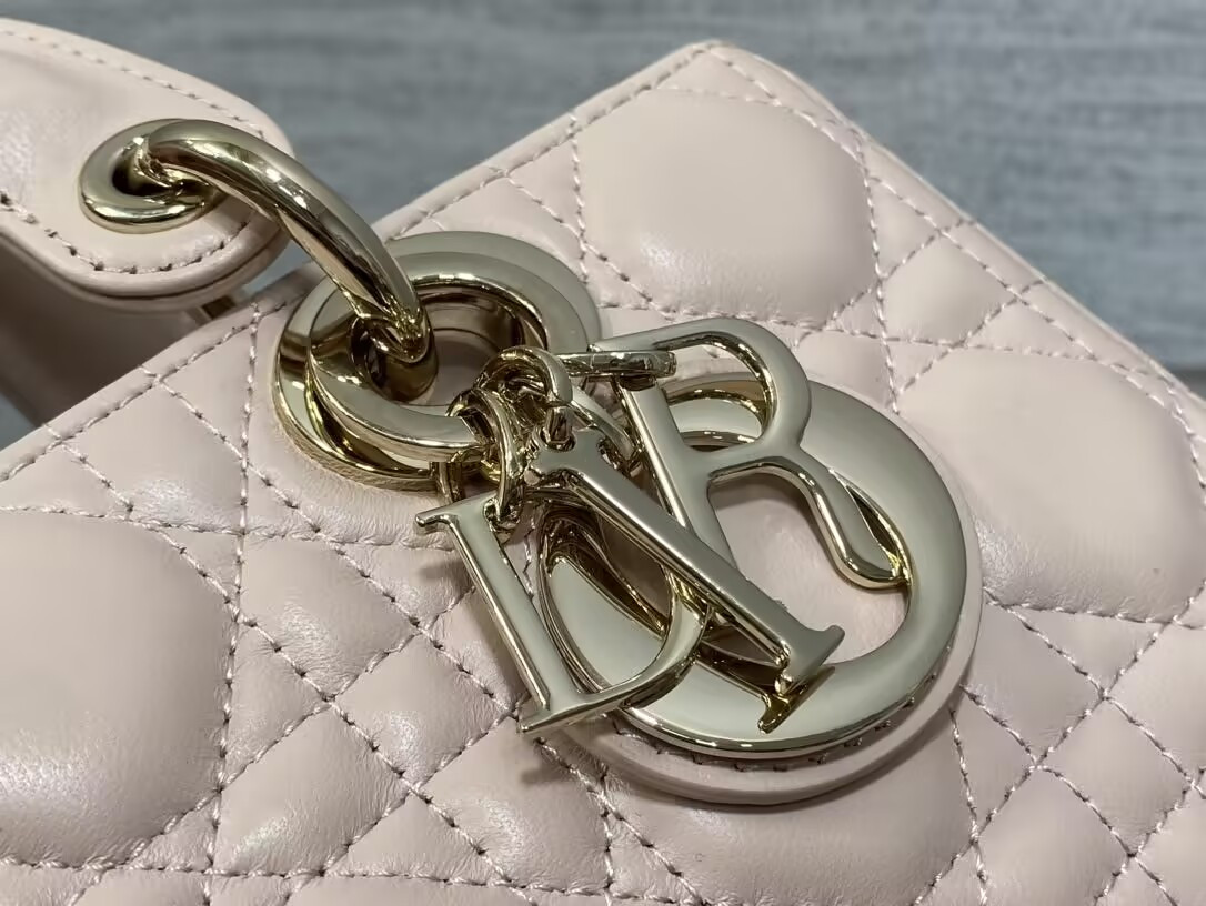 Dior Small Lady D-Joy Bag 22x6x12cm