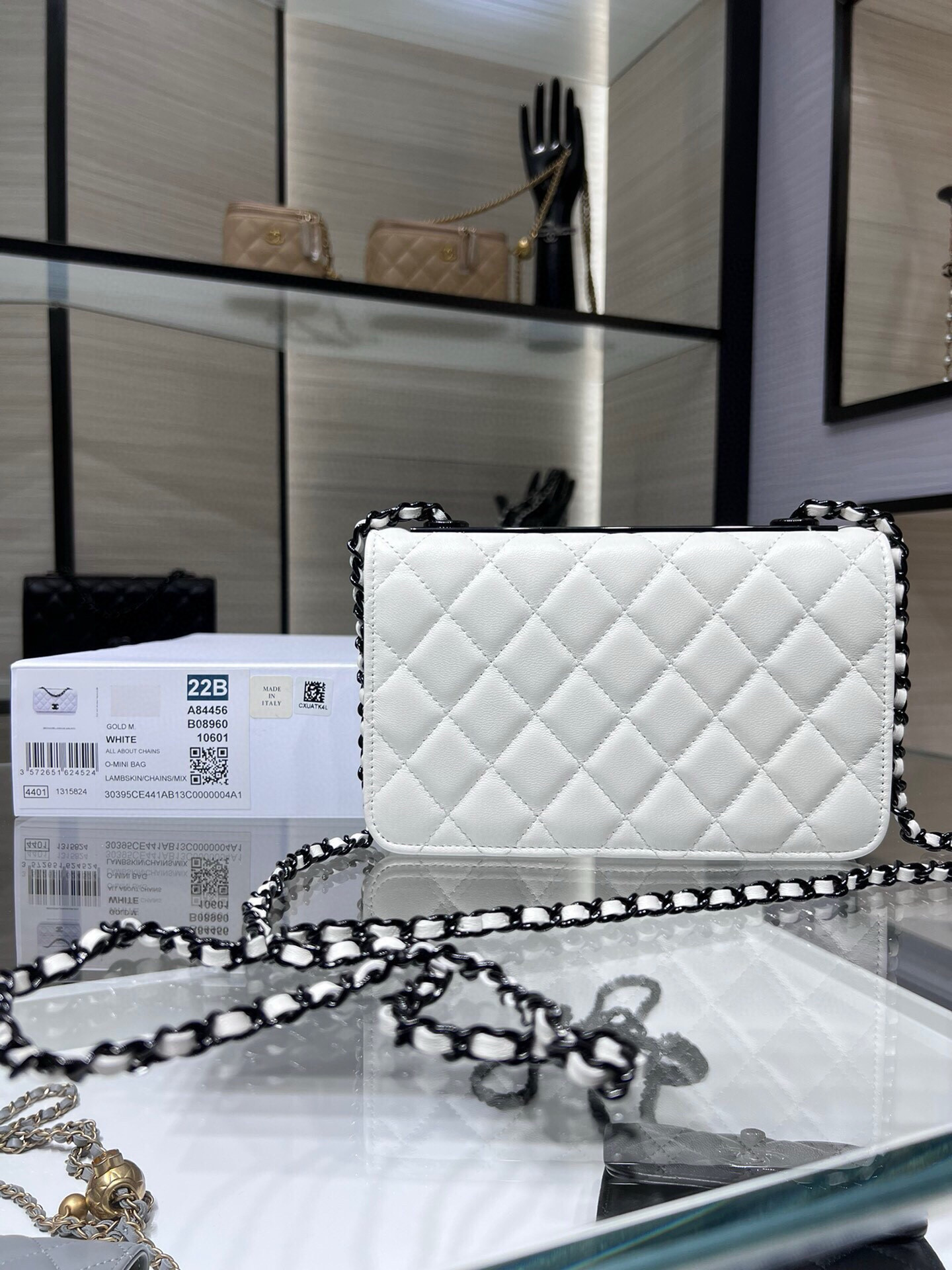Chanel WOC Trendy CC Wallet On Chain 19x12x3.5cm