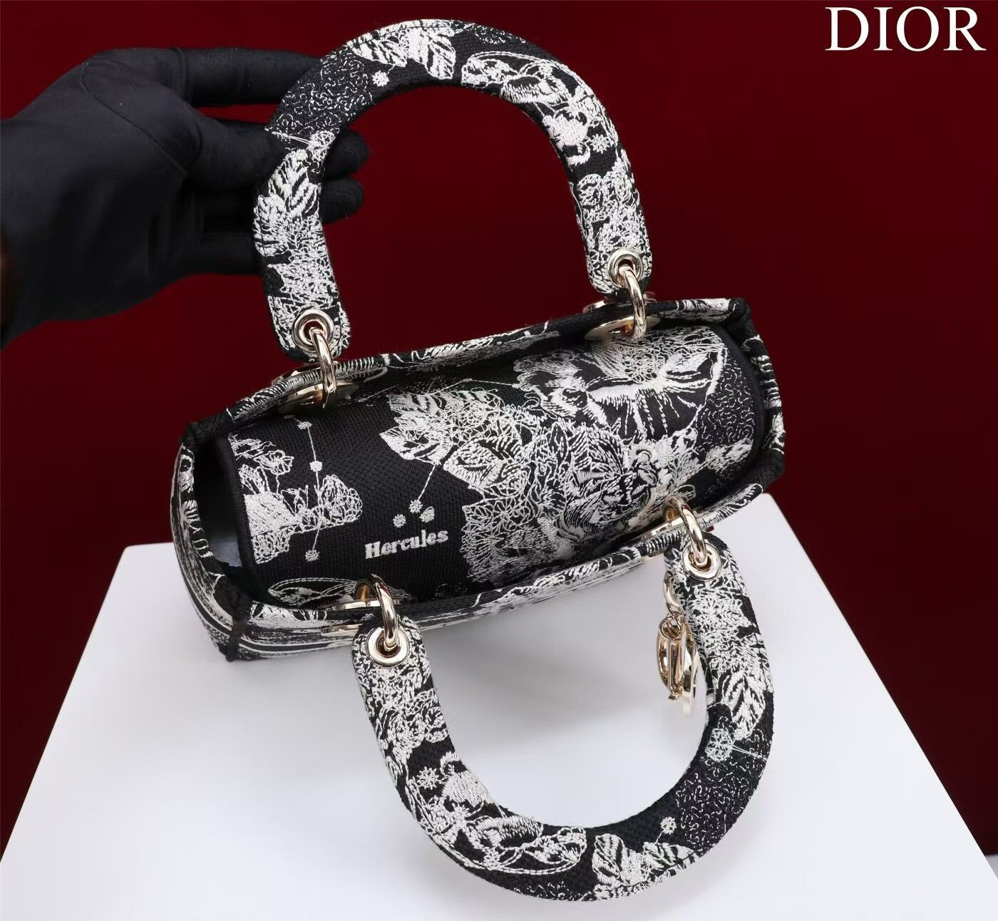 MEDIUM D10r LADY D-LITE BAG  24 x 20 x 11 cm