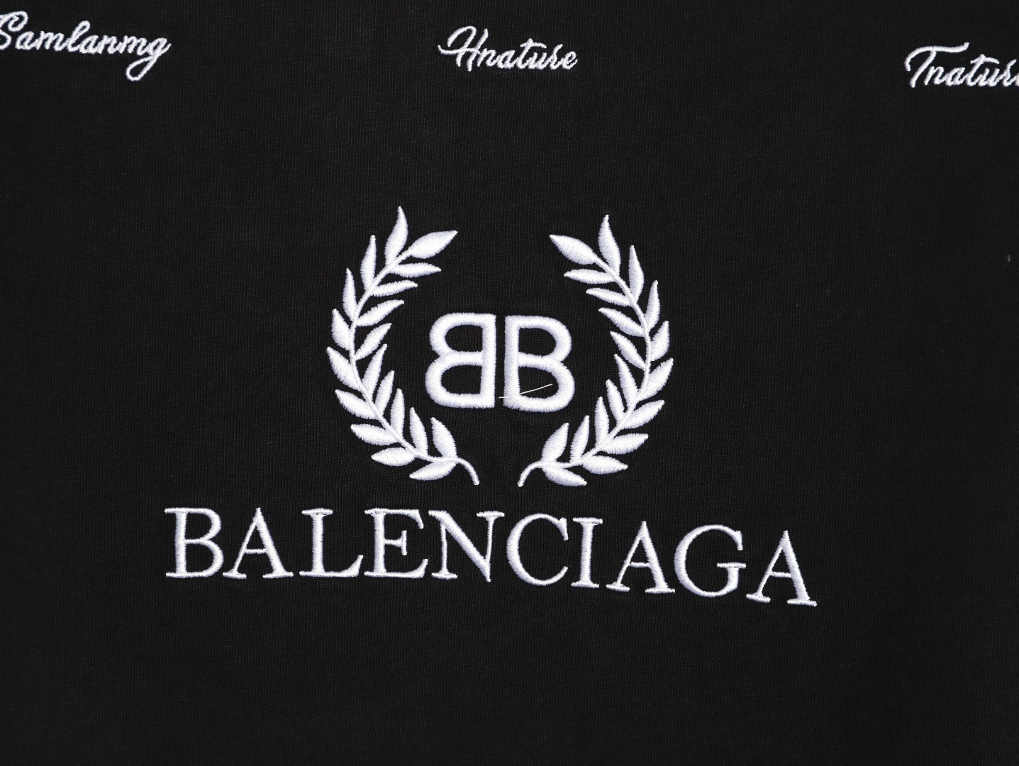 Ba1en*iaga 26ss short-sleeved t-shirt