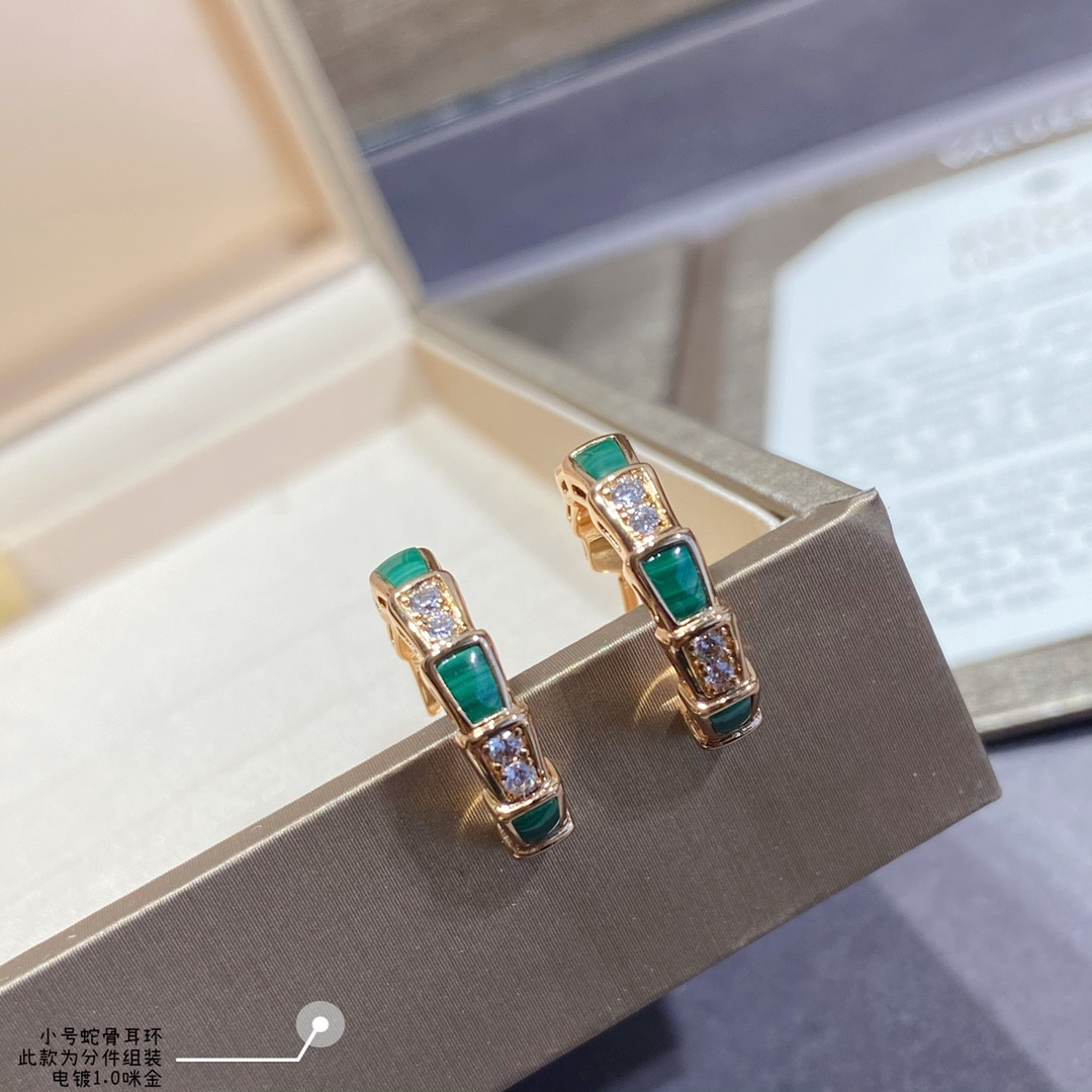 Bv1g*ai small Snake bone Earrings