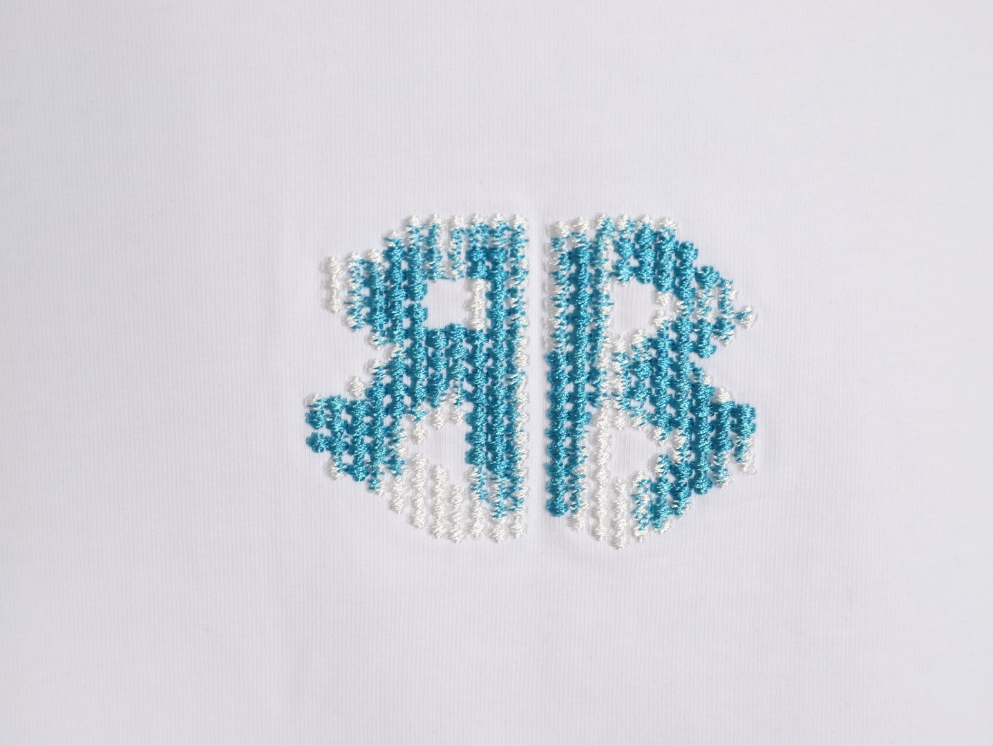 Ba1en*iaga short-sleeved t-shirt