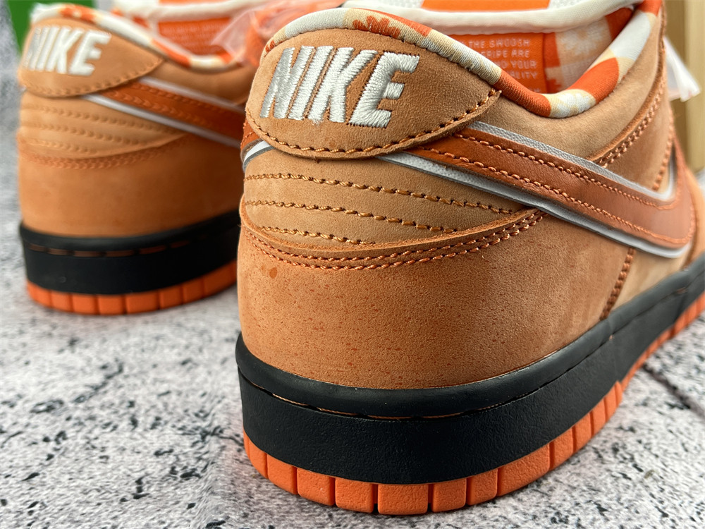 UA NIKE CONCEPTS X DUNK LOW SB 