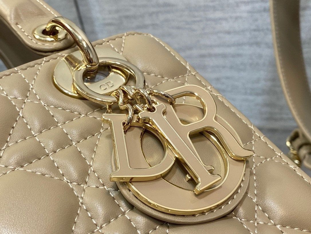 Medium Lady D10r Bag 24 x 20 x 12 cm