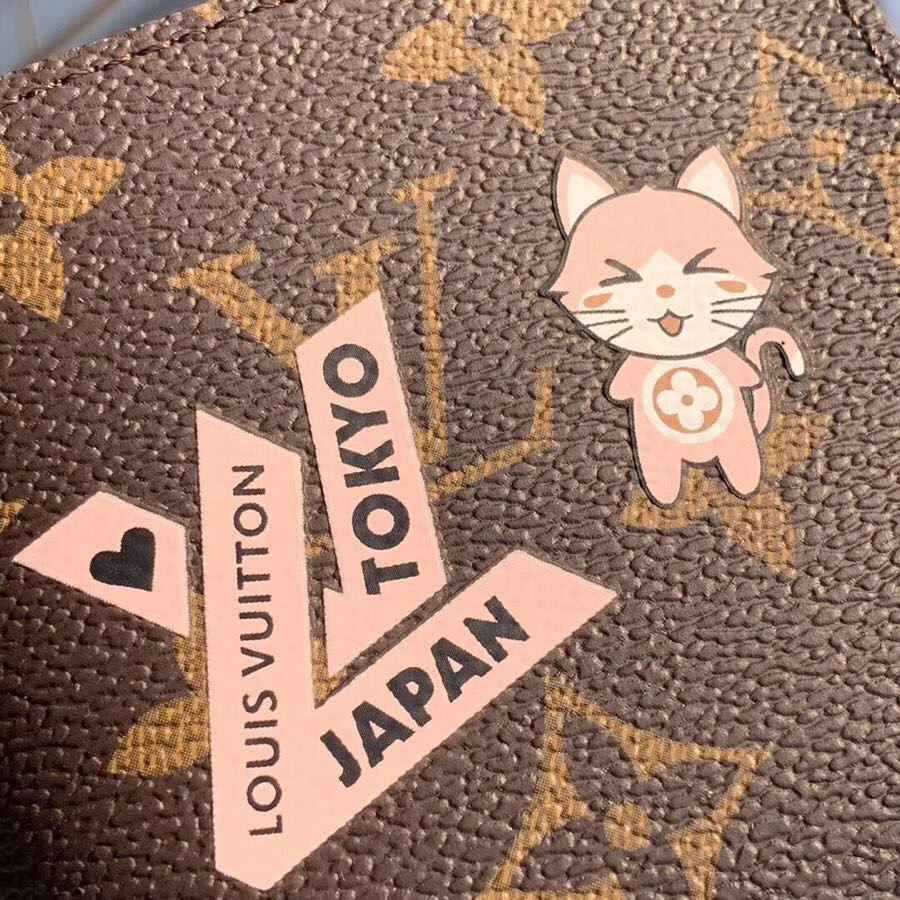 LV Passport cover