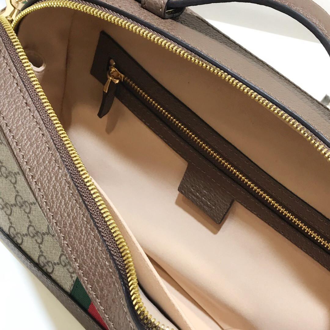 Gvc*1 GG Ophidia bag