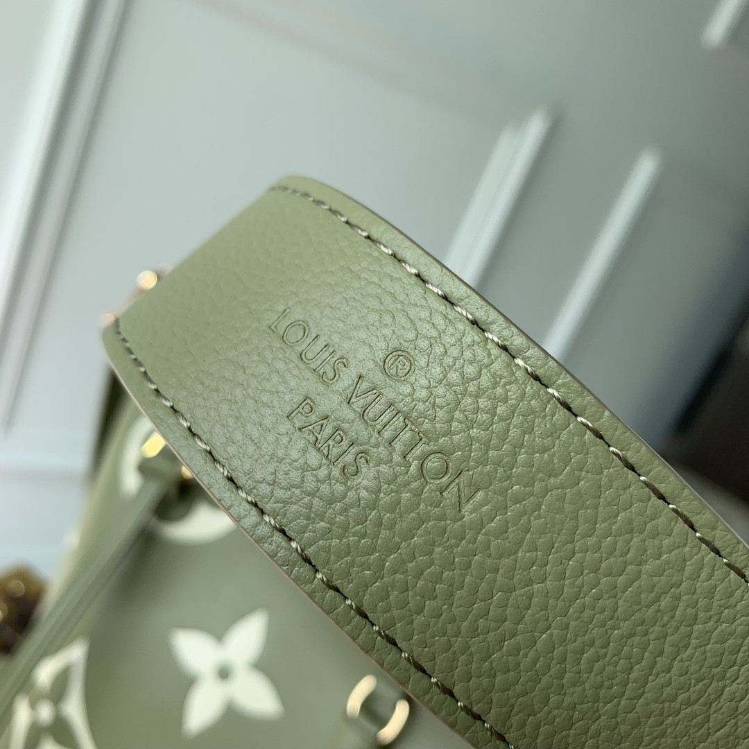 LV M46672 CarryAll PM M46672