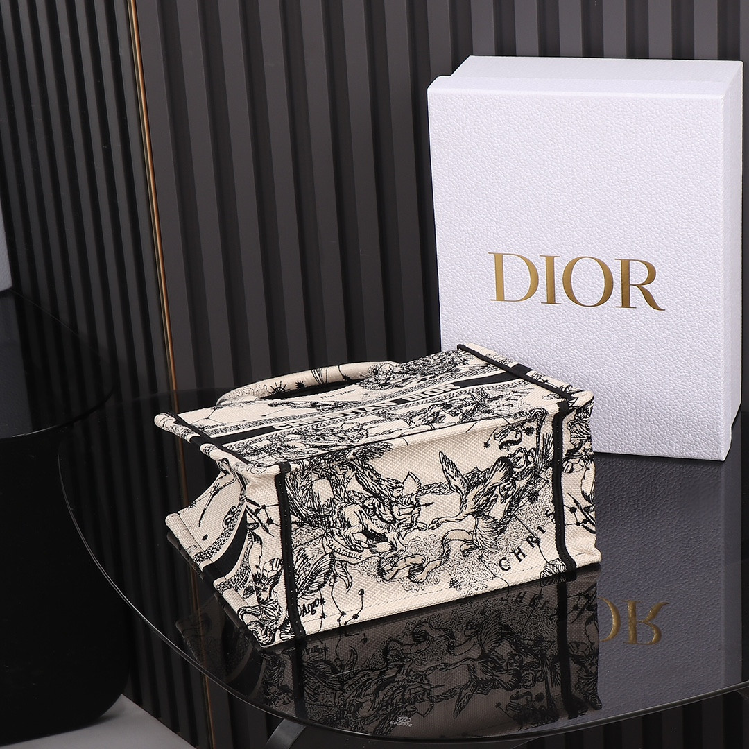 Small D10r Book Tote Latte and Black Toile de Jouy Zodiac Embroidery 10.5 x 8.5 x 5.5 inches