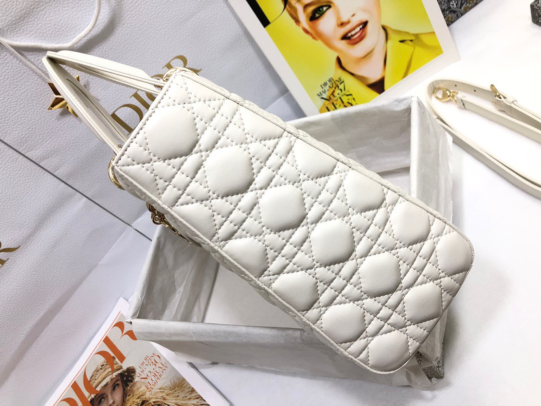D10r Lady Bag 32 x 25 x 11cm