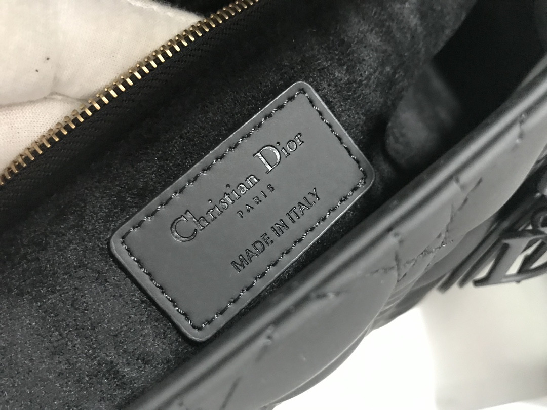 D10r Lady Bag 32 x 25 x 11cm
