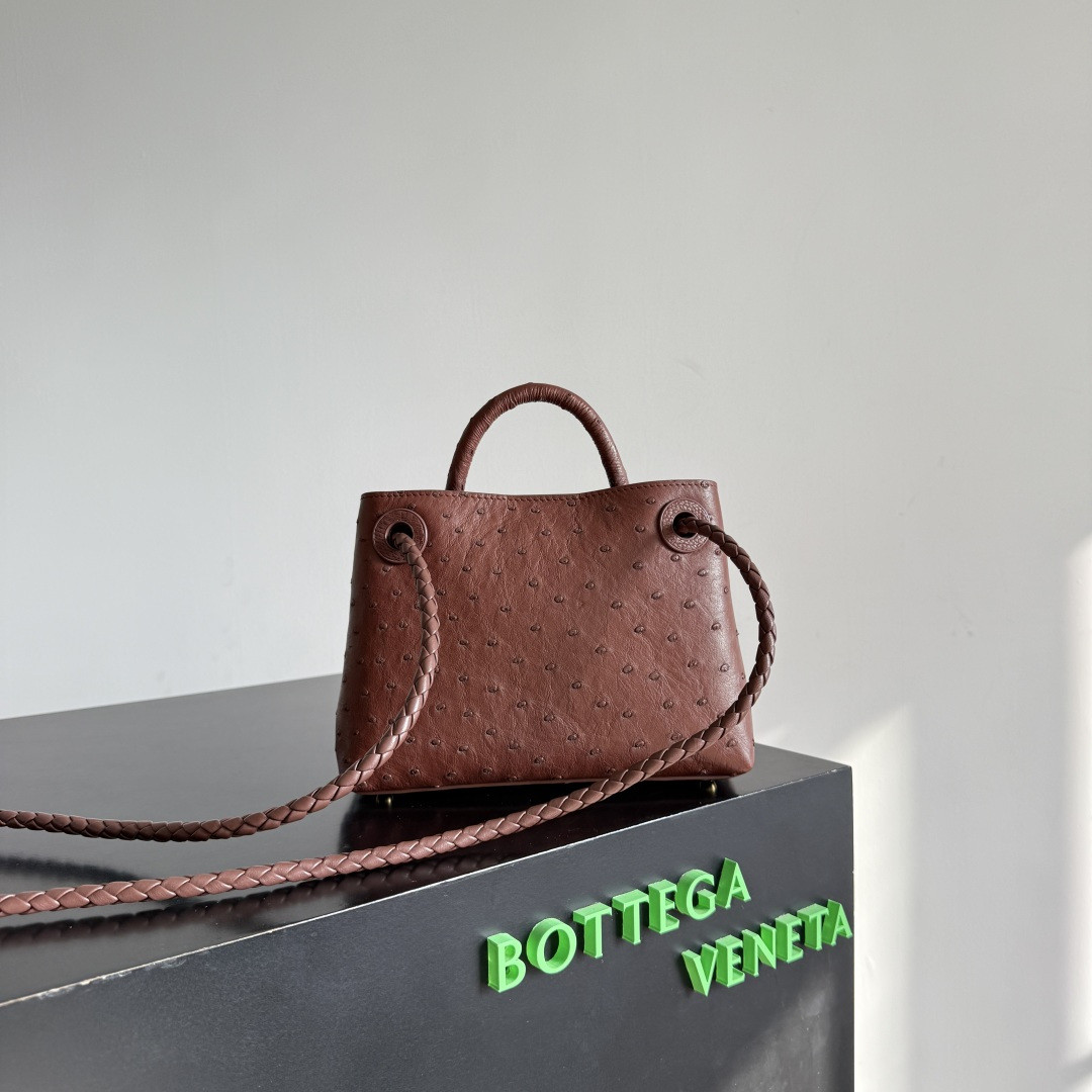 Bottega Veneta Mini Andiamo 15x20.5x7.5cm