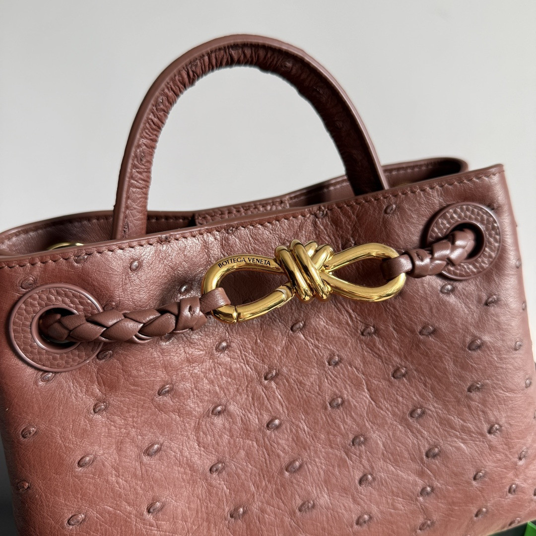 Bottega Veneta Mini Andiamo 15x20.5x7.5cm