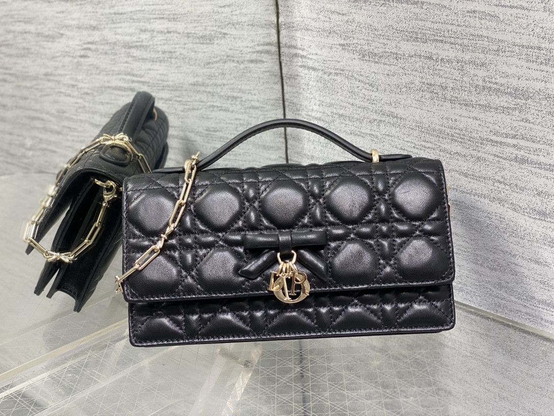 My Dior Mini Bag 21x11.5x4.5cm