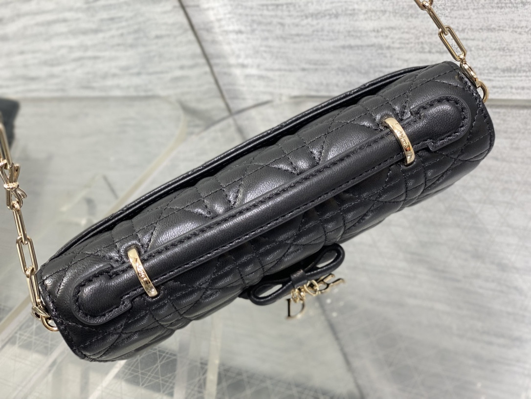 My Dior Mini Bag 21x11.5x4.5cm