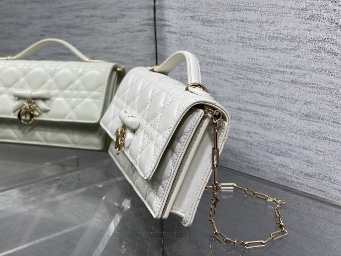 My Dior Mini Bag 21x11.5x4.5cm