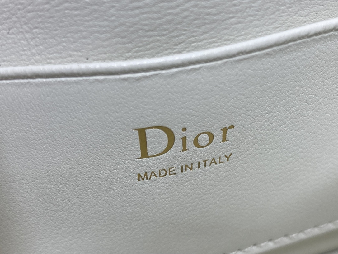 My Dior Mini Bag 21x11.5x4.5cm