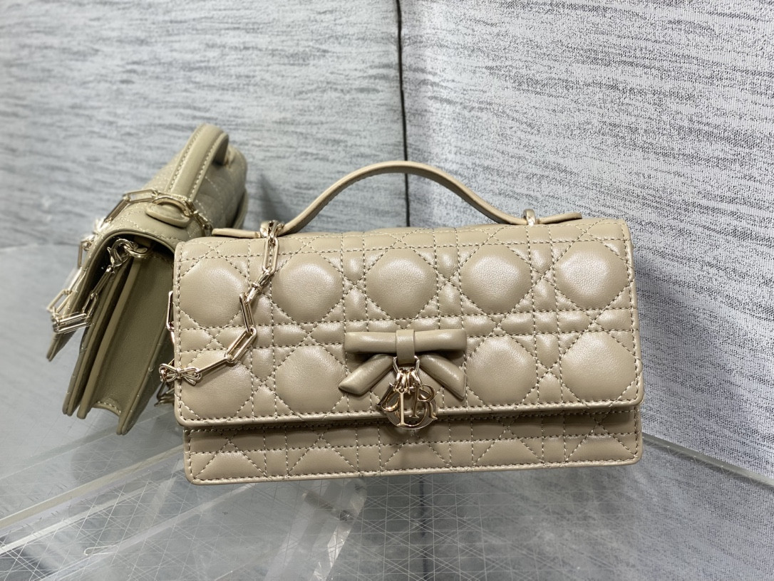 My Dior Mini Bag 21x11.5x4.5cm