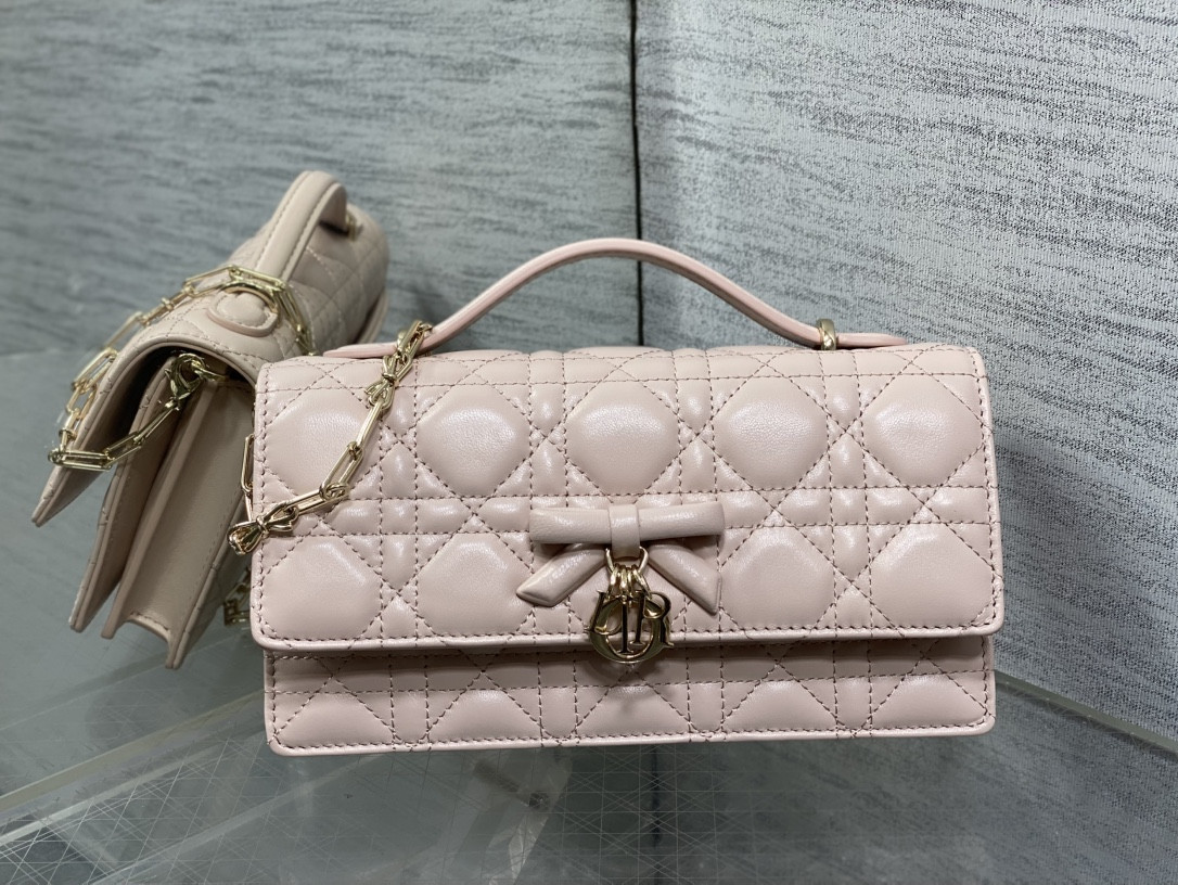 My Dior Mini Bag 21x11.5x4.5cm