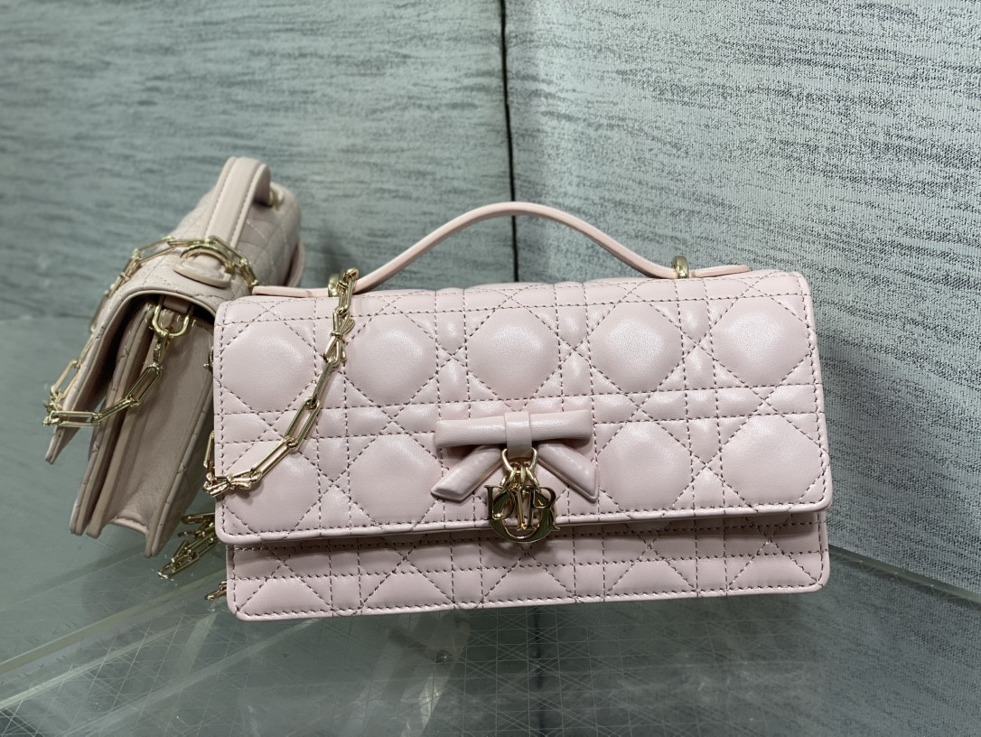 My Dior Mini Bag 21x11.5x4.5cm