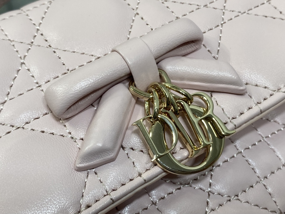 My Dior Mini Bag 21x11.5x4.5cm