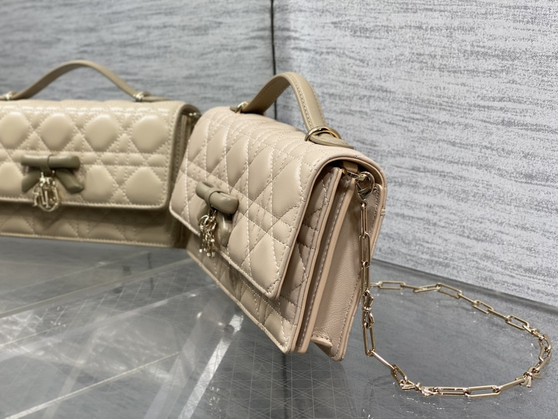 My Dior Mini Bag 21x11.5x4.5cm