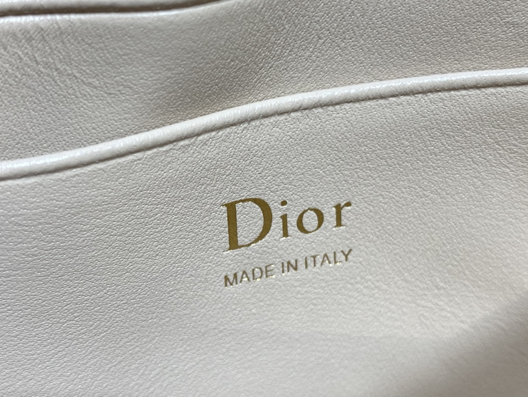 My Dior Mini Bag 21x11.5x4.5cm