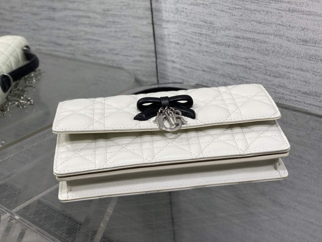 My Dior Mini Bag 21x11.5x4.5cm