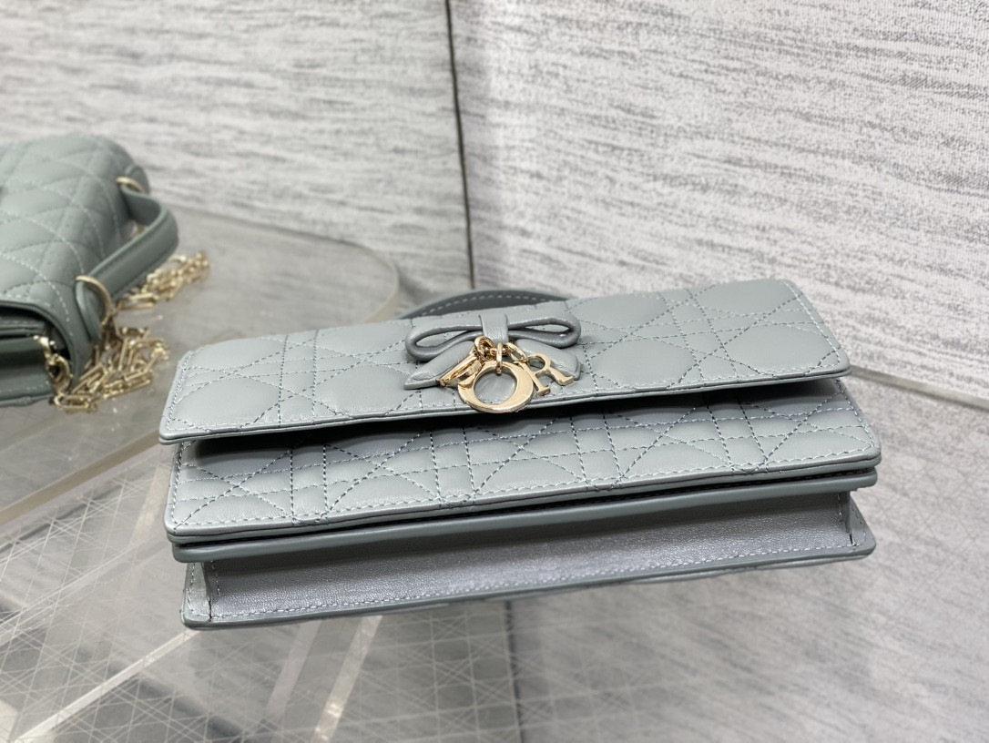 My Dior Mini Bag 21x11.5x4.5cm